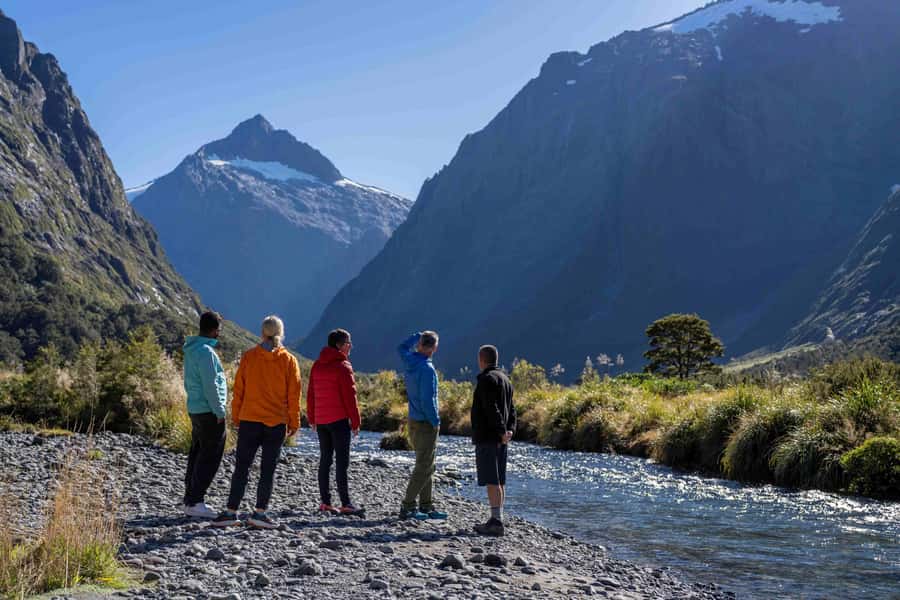 From Te Anau: Milford Sound Coach, Cruise, and Walks - Short stops in Hollyford Valley, Lake Gunn, and beyond