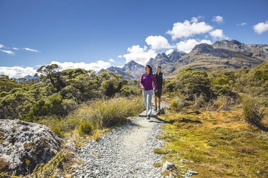 From Te Anau: Milford Sound Coach, Cruise, and Walks - A packed lunch that keeps the day moving
