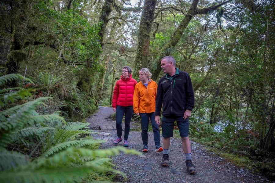 From Te Anau: Milford Sound Coach, Cruise, and Walks - What the guides add to the experience