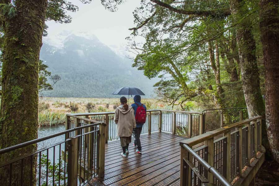 From Te Anau: Milford Sound Coach Tour and Cruise - Why starting in Te Anau makes sense