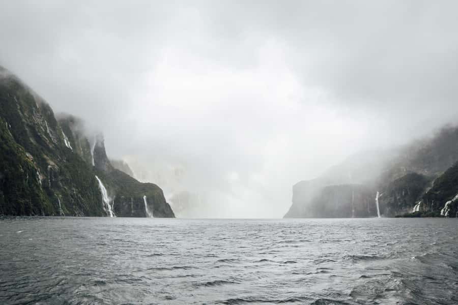 From Te Anau: Milford Sound Coach Tour and Cruise - Seals, dolphins, and the chance of rare wildlife