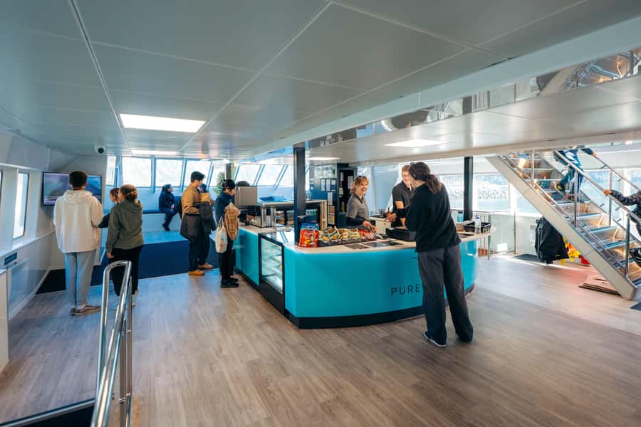 From Te Anau: Milford Sound Coach Tour and Cruise - Lunch, comfort, and the small details