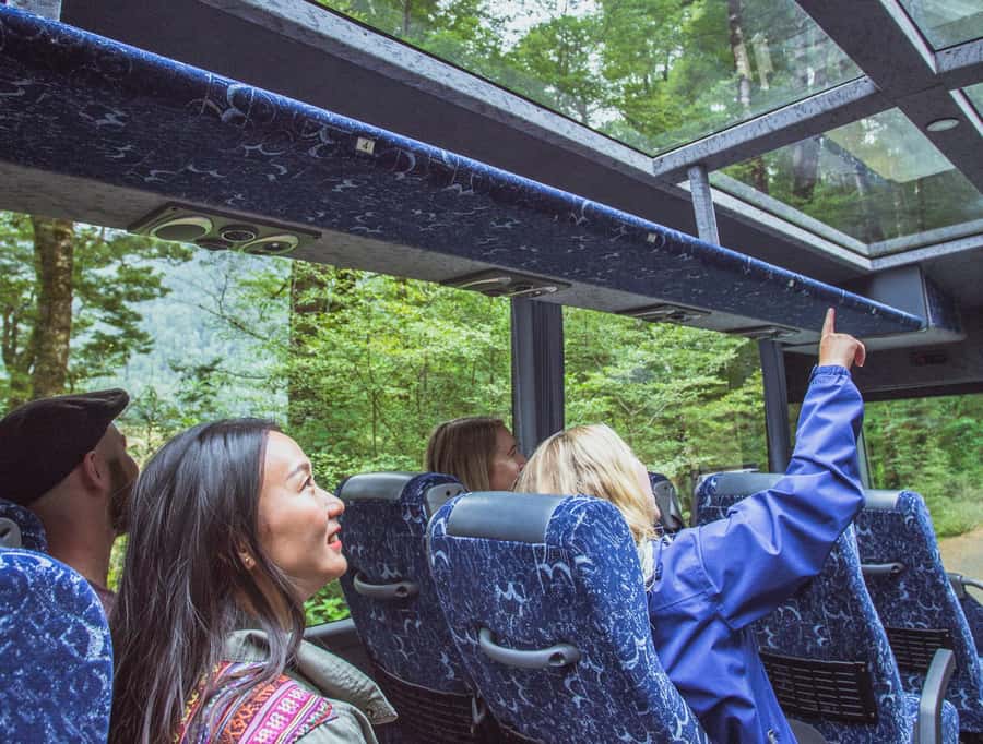 From Te Anau: Milford Sound Coach Tour and Cruise - The Fiordland road trip is a major part of the day