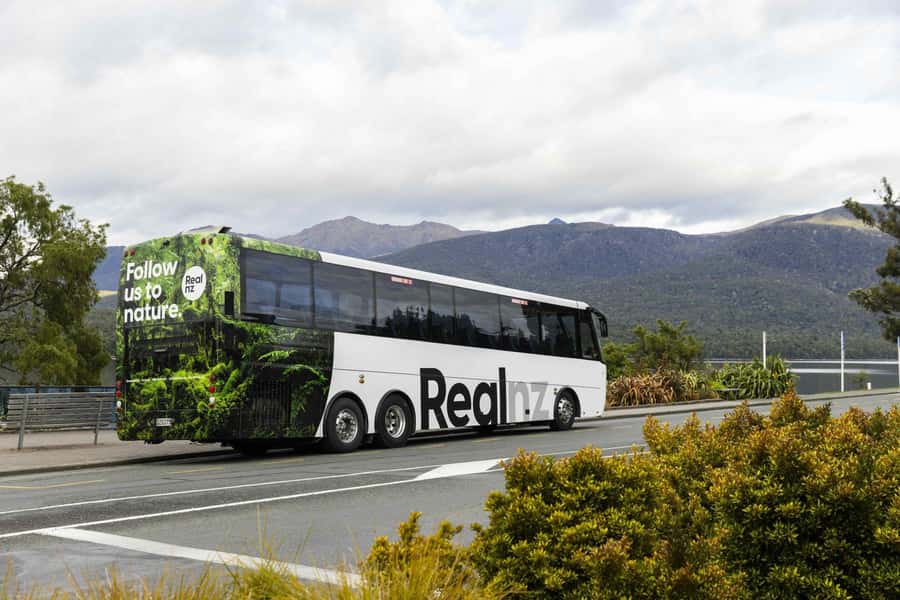 From Te Anau: Milford Sound Cruise and Coach Day Trip - Mirror Lakes rewards a short walk