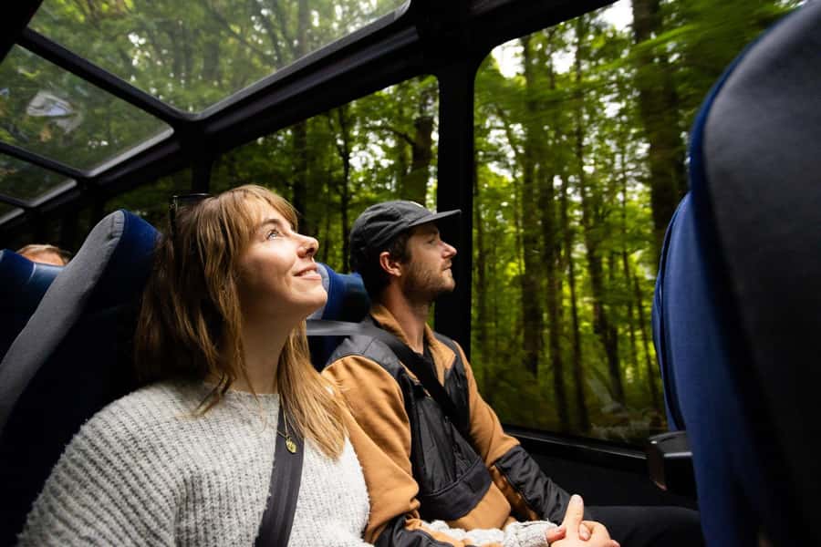 From Te Anau: Milford Sound Cruise and Coach Day Trip - Food, drinks, and what to pack