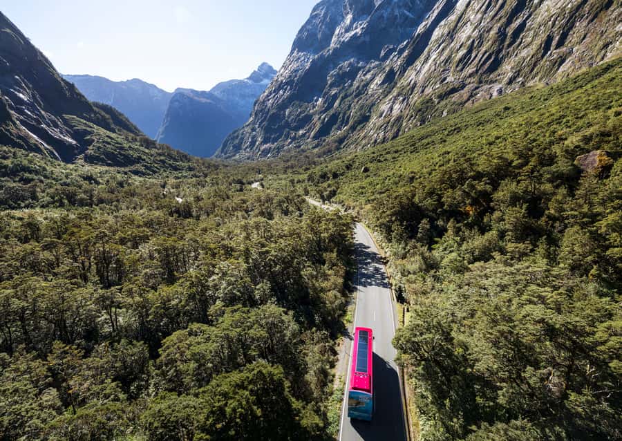 From Te Anau: Milford Sound Premium Bus Tour and Cruise - What the guide can add to the day
