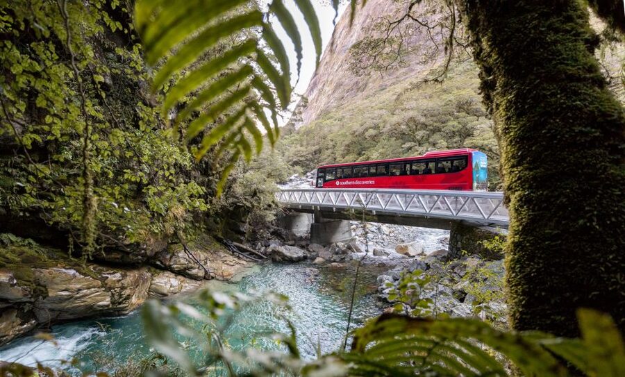 From Te Anau: Milford Sound Premium Bus Tour and Cruise - Knobs Flat and Monkey Creek add useful pauses