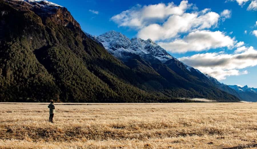 From Te Anau: Milford Sound Small-Group Tour Including Lunch - Lake Gunn and the Hollyford River add variety