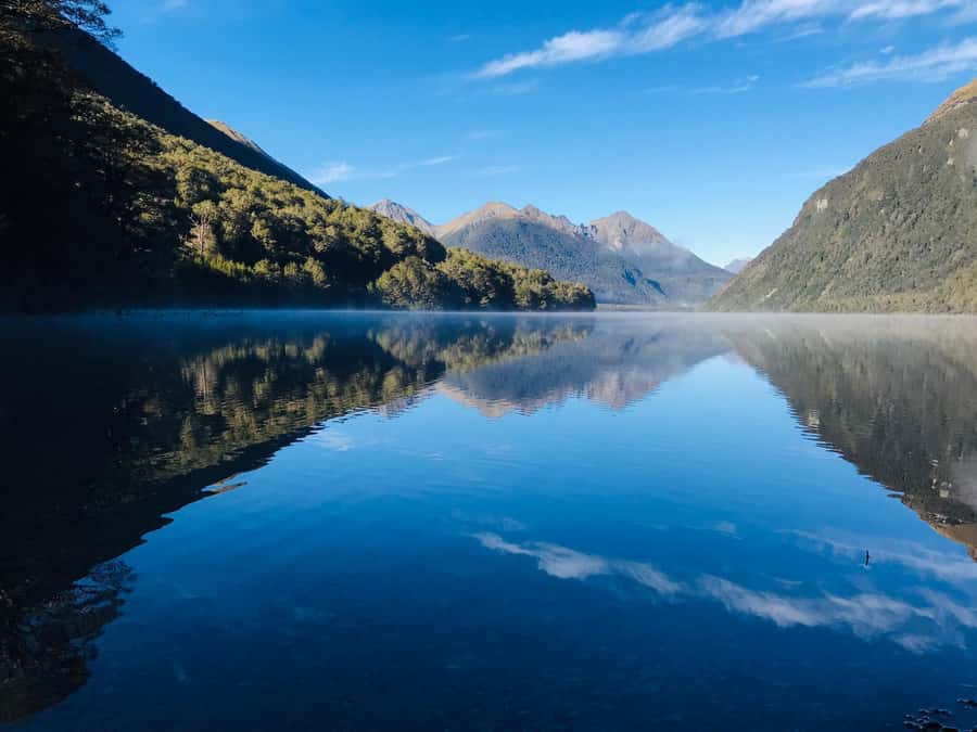From Te Anau: Milford Sound Small-Group Tour Including Lunch - Homer Tunnel is a practical piece of Fiordland history