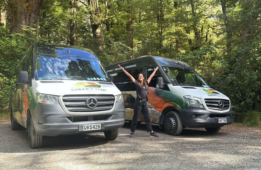 From Te Anau: Milford Sound Small-Group Tour Including Lunch - Milford Sound delivers the main event