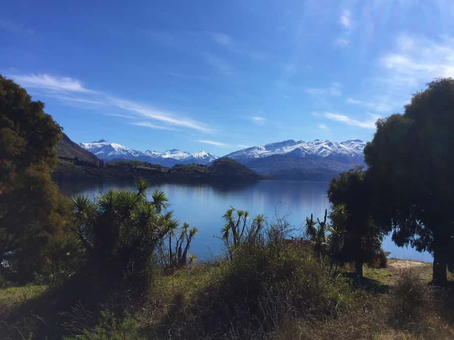 From Wanaka: Ruby Island 1-Hour Cruise and Photo Walk - The 20-minute walk and its practical limits