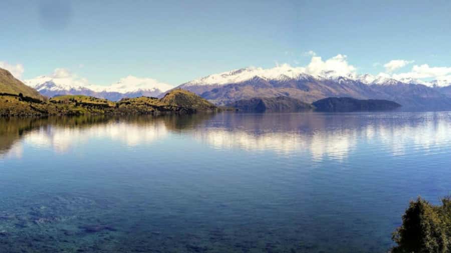From Wanaka: Ruby Island 1-Hour Cruise and Photo Walk - What the skipper adds to the visit