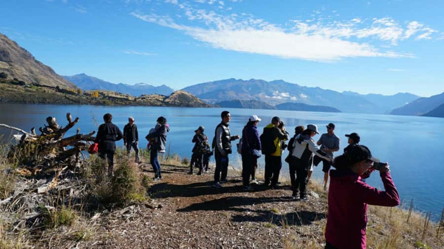 From Wanaka: Ruby Island 1-Hour Cruise and Photo Walk - How the timing works for a busy Wanaka day