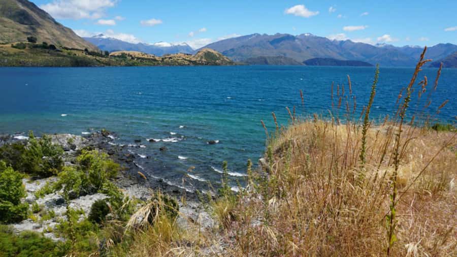 From Wanaka: Ruby Island 1-Hour Cruise and Photo Walk - Ruby Island, small but full of character