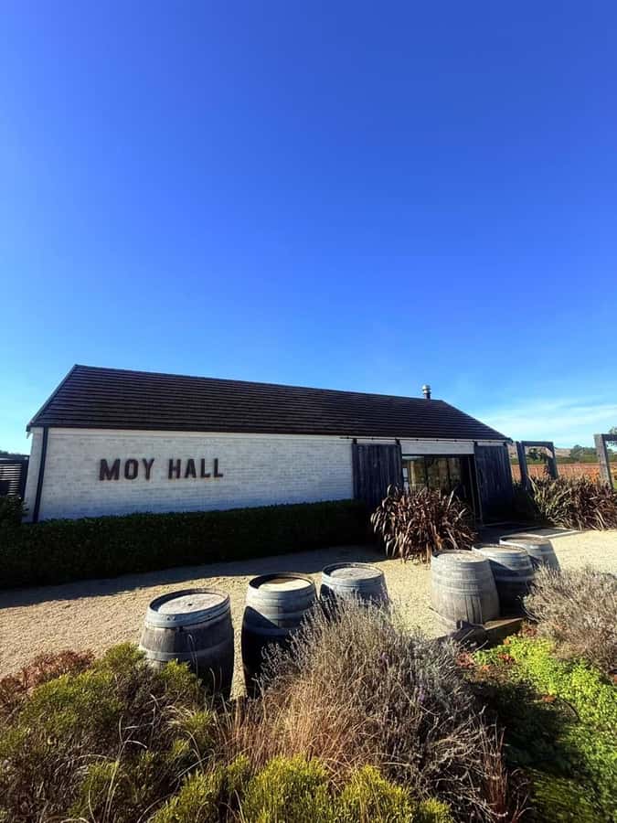 From Wellington: Half-Day Foodie Tour of the Wairarapa - C’est Cheese in Featherston