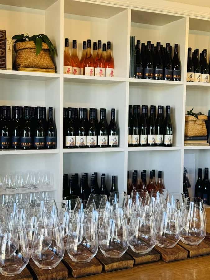 From Wellington: Half-Day Foodie Tour of the Wairarapa - Pickup, cruise access, and timing