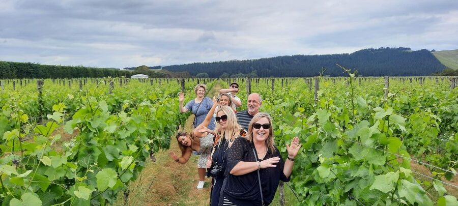 From Wellington: Martinborough Winery Tour - Is $114 good value?