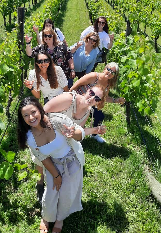 From Wellington: Martinborough Winery Tour - Why this Martinborough outing works from Wellington