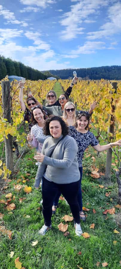 From Wellington: Martinborough Winery Tour - Crossing the Remutaka Ranges