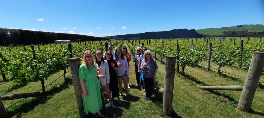 From Wellington: Martinborough Winery Tour - Choosing between boutique and established producers