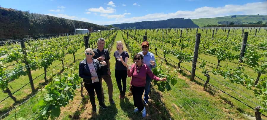 From Wellington: Martinborough Winery Tour - Hotel pickup keeps the day simple