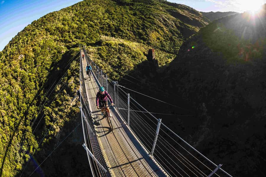 From Wellington: Remutaka Rail Trail eBike Tour - Why the Remutaka Rail Trail Works So Well