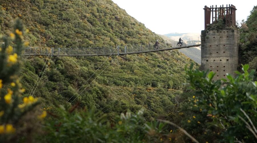 From Wellington: Remutaka Rail Trail eBike Tour - Bridges, Mountain Views, and the Summit Plateau