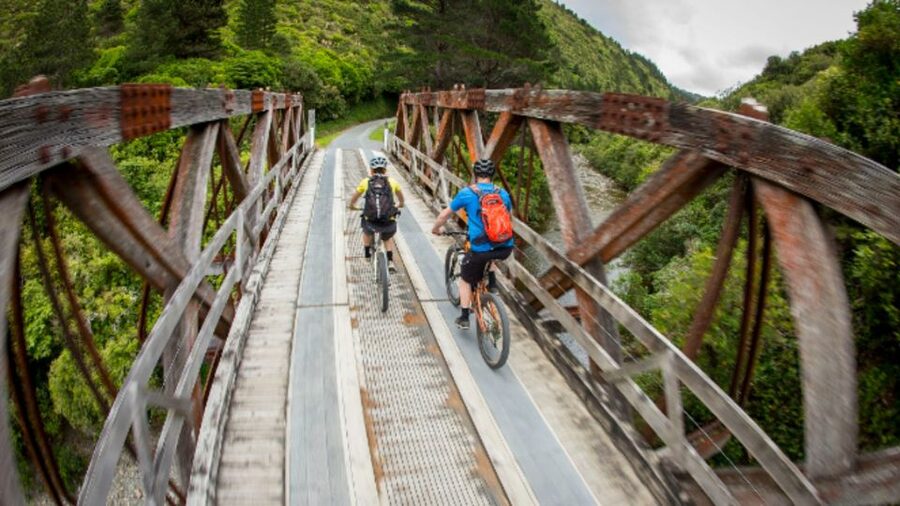 From Wellington: Remutaka Rail Trail eBike Tour - Who Should Book This Ride