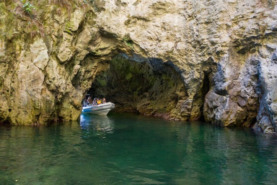 From Whitianga: Cathedral Cove Cruise with Snorkeling - Key reasons to consider the Cave Cruzer