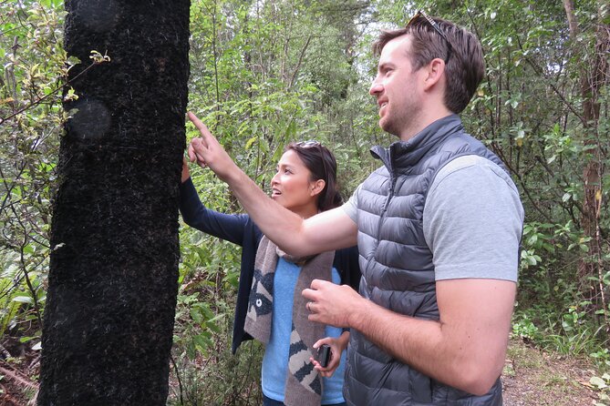 Full-Day Abel Tasman National Park Hiking Tour with Cruise - Why the cruise matters as much as the hike