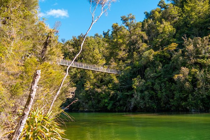 Full-Day Abel Tasman National Park Hiking Tour with Cruise - Is $371.72 a fair price?