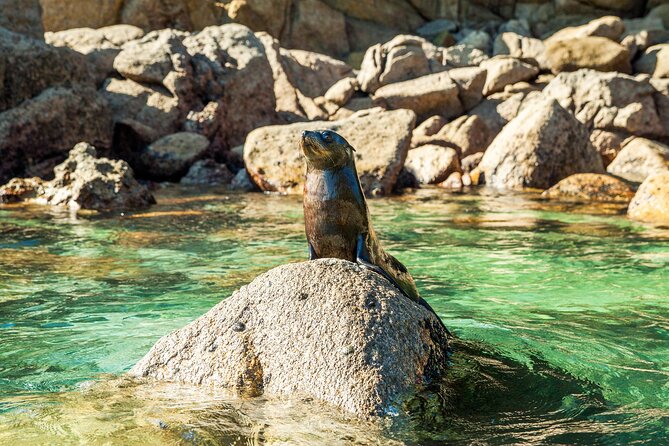 Full-Day Abel Tasman National Park Hiking Tour with Cruise - Who should book this day?
