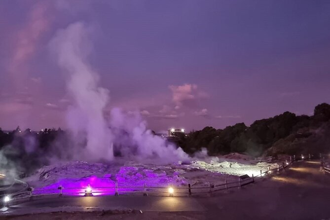 Full-Day Driver with Tesla Car-Customisable North Island Tour - Rotorua gives you the widest choice
