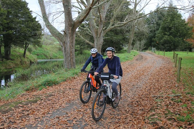 Full Day Ebike Tour in Karangahake Gorge (ex Auckland) - Why this Karangahake Gorge ride is worth your day