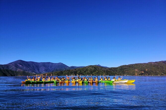 Full day Guided Sea Kayak Tour from Picton - Why a full day suits Queen Charlotte Sound