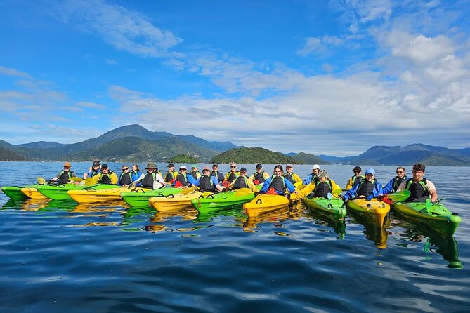 Full day Guided Sea Kayak Tour from Picton - Following a route shaped by wind and ability