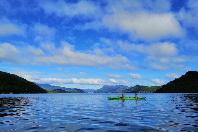 Full day Guided Sea Kayak Tour from Picton - What the $105.50 price buys you