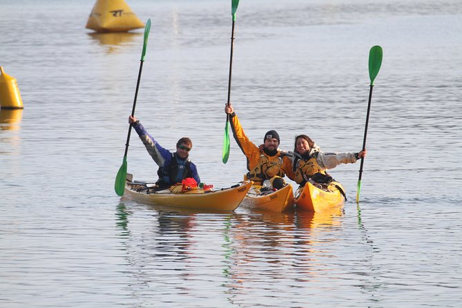 Full day Guided Sea Kayak Tour from Picton - Weather, cancellations, and the practical details