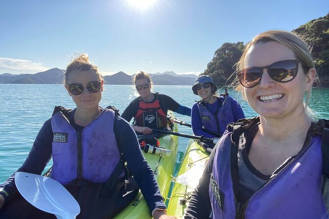 Full-Day Guided Sea Kayak Trip from Picton - Key Points to Know Before You Paddle