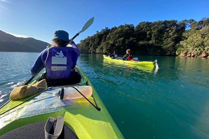 Full-Day Guided Sea Kayak Trip from Picton - Why Queen Charlotte Sound Is Worth Seeing by Kayak