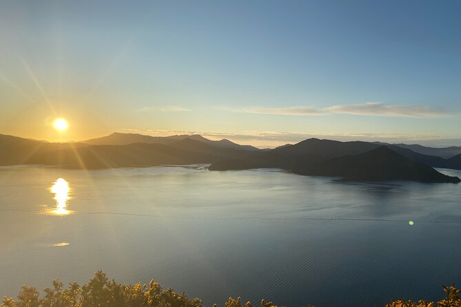 Full-Day Guided Sea Kayak Trip from Picton - Morning Tea on a Remote Beach