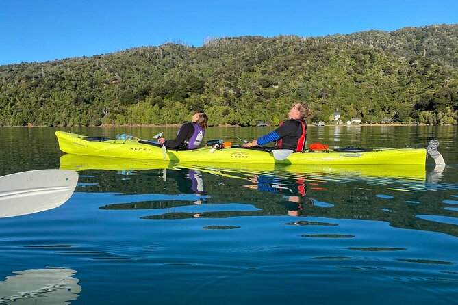 Full-Day Guided Sea Kayak Trip from Picton - The Guide and the Pace of the Day