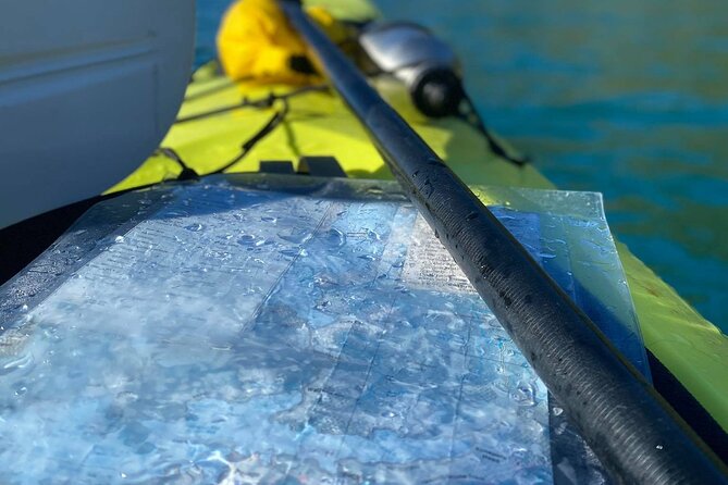 Full-Day Guided Sea Kayak Trip from Picton - What the $105.50 Price Really Covers