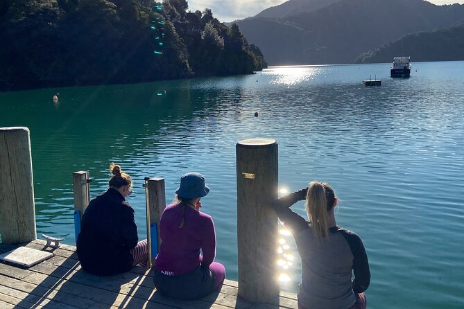 Full-Day Guided Sea Kayak Trip from Picton - Crossing the Harbor and Finding Your Rhythm