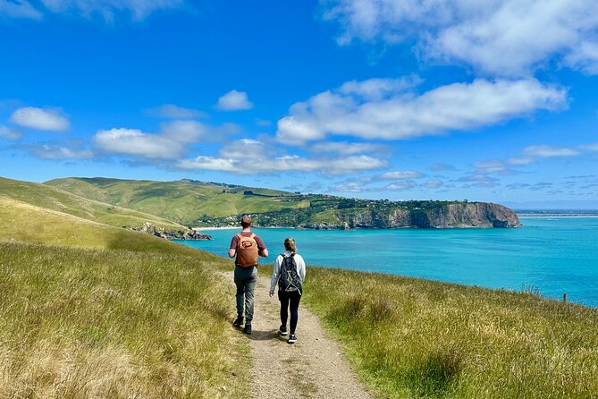Full Day Guided Walking Tour and Picnic around Godley Head - Key points at a glance