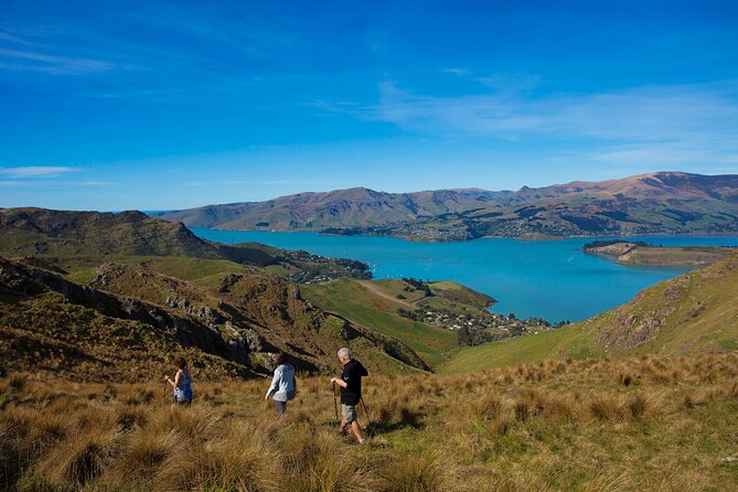 Full Day Guided Walking Tour and Picnic around Godley Head - Three hours around the Godley Head Loop Track
