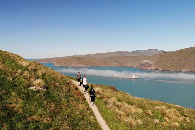 Full Day Guided Walking Tour and Picnic around Godley Head - How the guides shape the day