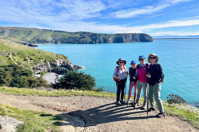 Full Day Guided Walking Tour and Picnic around Godley Head - Weather, clothing, and the real level of effort