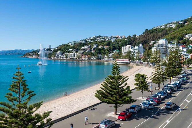 Full Day Guided Wellington Tour including guided tour at Te Papa - Key points to know before booking
