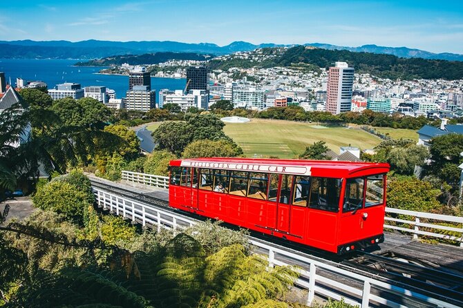 Full Day Guided Wellington Tour including guided tour at Te Papa - A fast, friendly way to understand Wellington